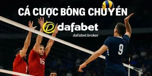 Cá cược bóng chuyền